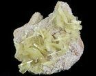 Yellow Barite Crystal Cluster - Peru #64142-1
